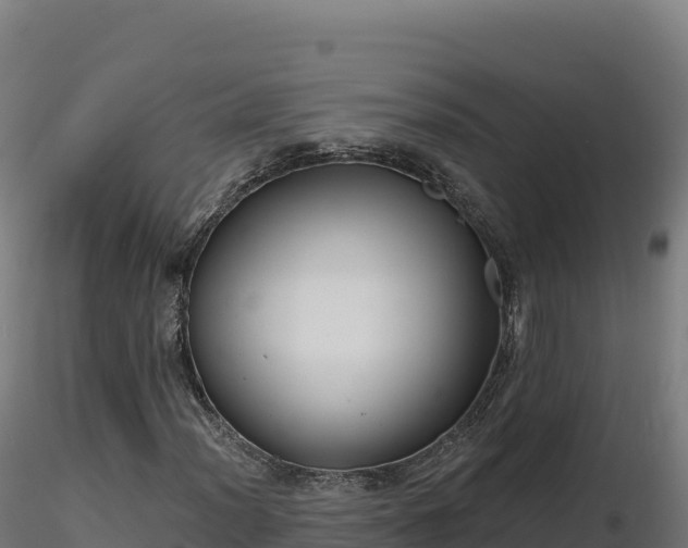 X0000116891012200912291258