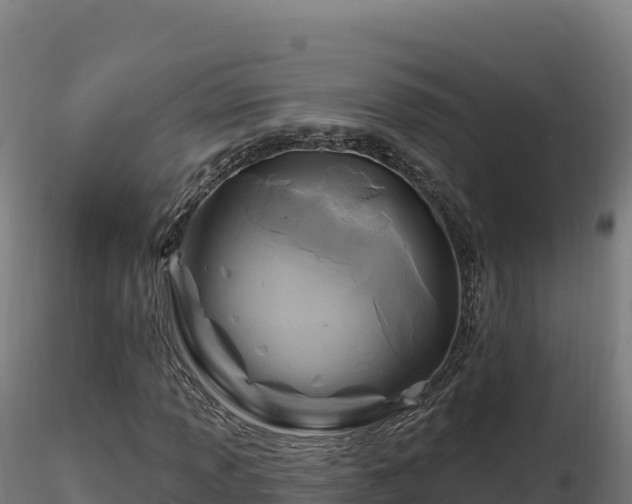 X0000116891013200912291258