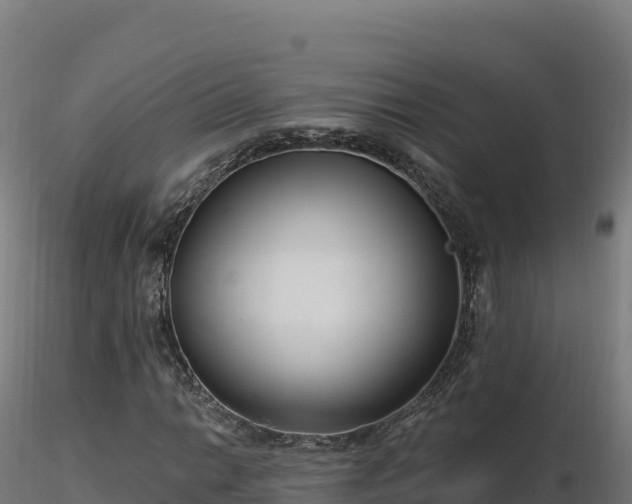 X0000116891014200912291258