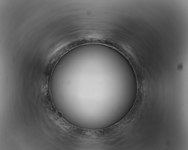 X0000116891015200912291258