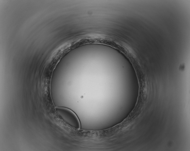 X0000116891016200912291258