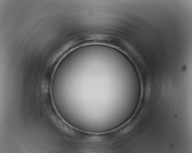 X0000116891017200912291259