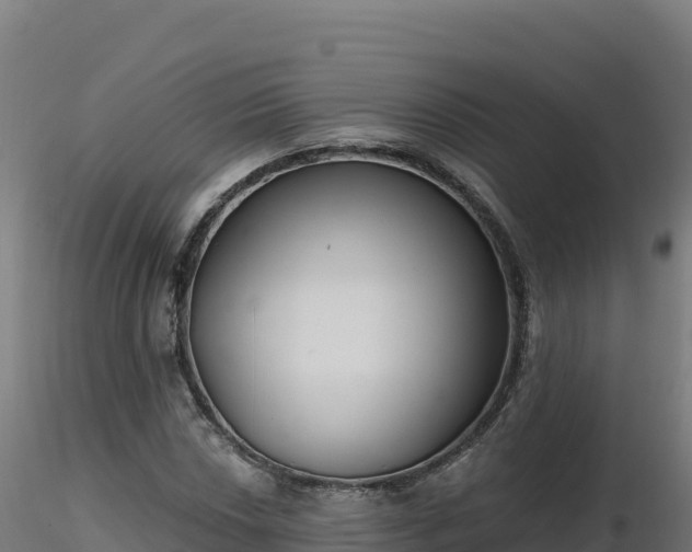 X0000116891018200912291259