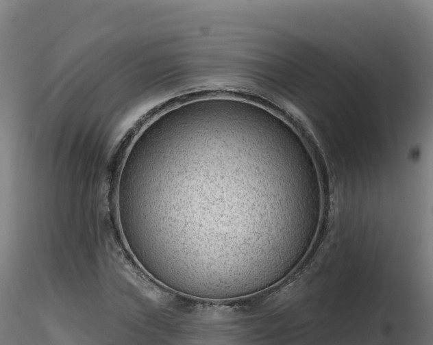 X0000116891019200912291259