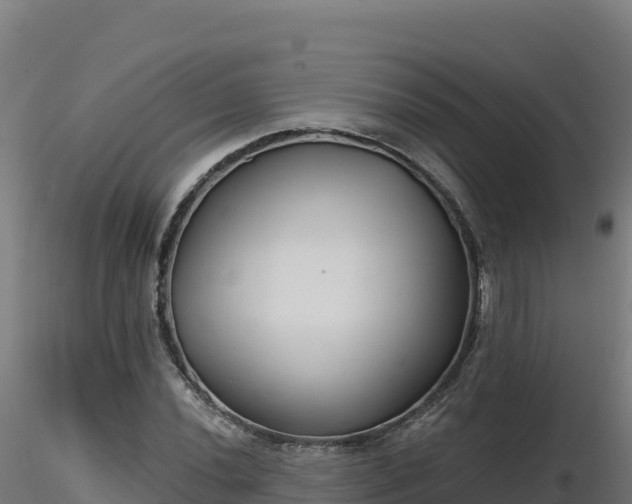 X0000116891020200912291259