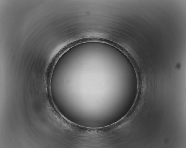 X0000116891022200912291259