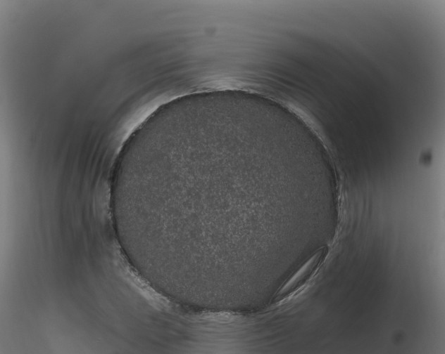 X0000116891023200912291259