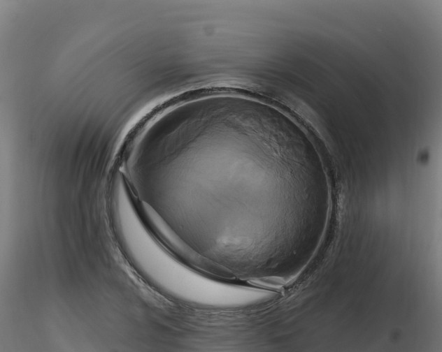 X0000116891024200912291259
