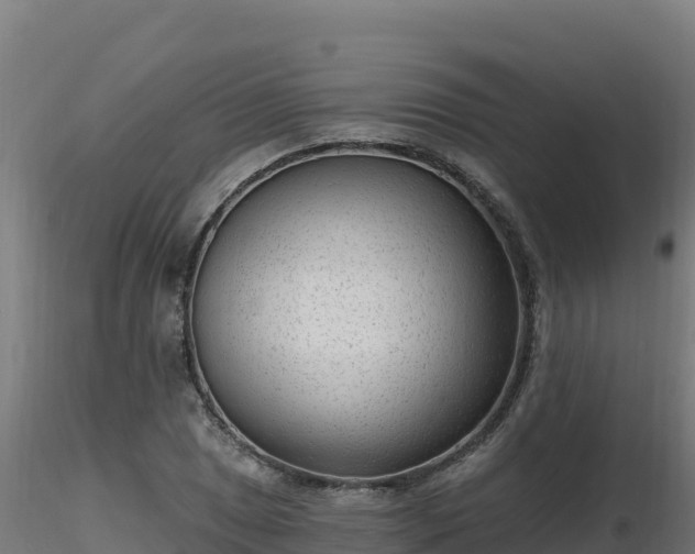 X0000116891025200912291259
