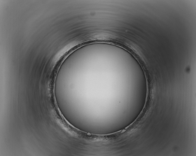 X0000116891026200912291259