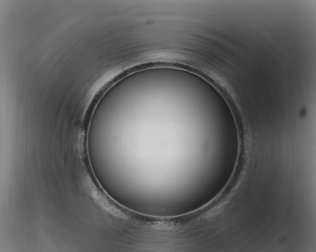 X0000116891029200912291259