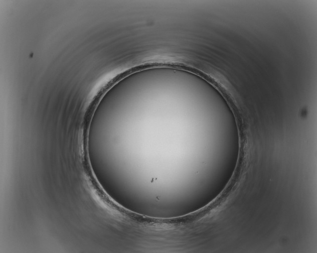 X0000116891030200912291259