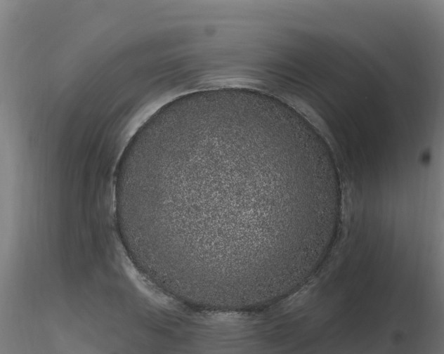 X0000116891031200912291259