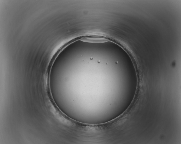 X0000116891032200912291259