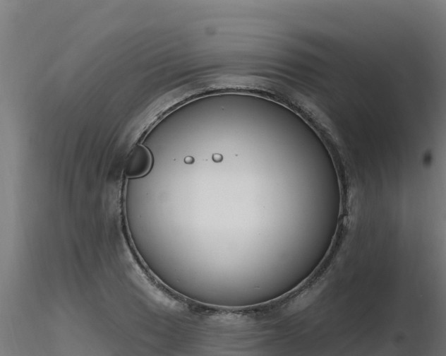 X0000116891033200912291259