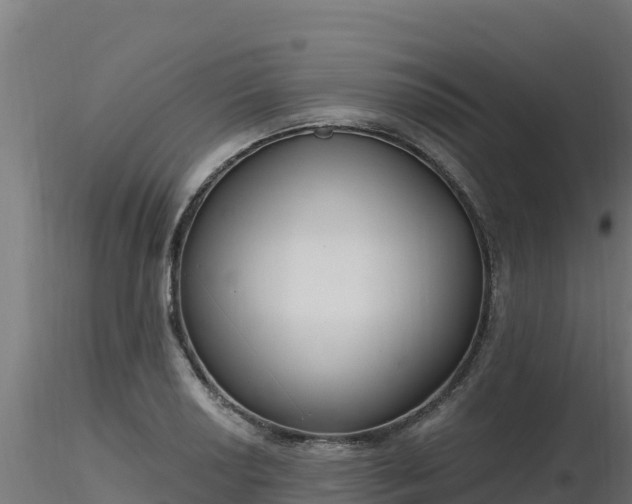 X0000116891034200912291259