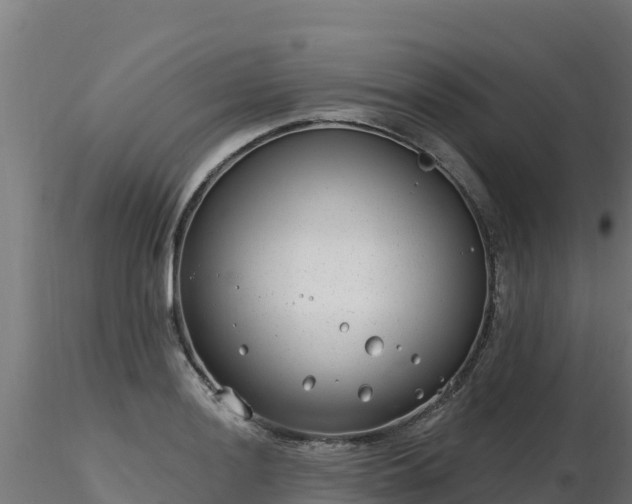 X0000116891036200912291259