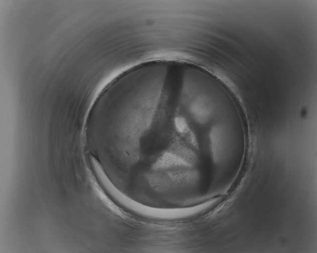 X0000116891037200912291259