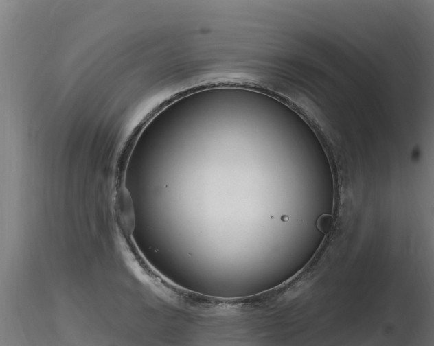 X0000116891038200912291259