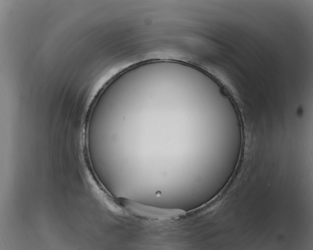 X0000116891040200912291259
