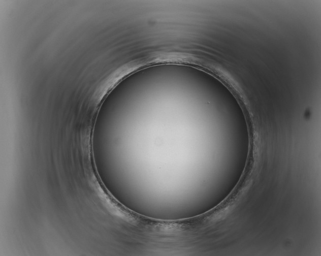 X0000116891041200912291259