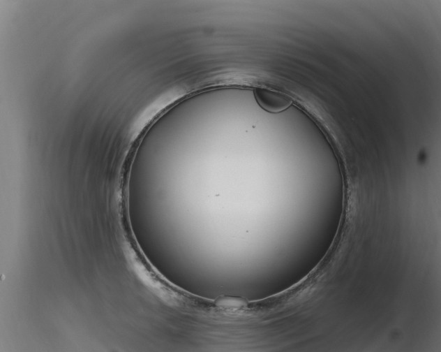 X0000116891042200912291259