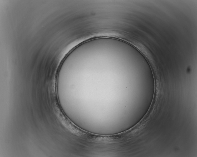 X0000116891044200912291259