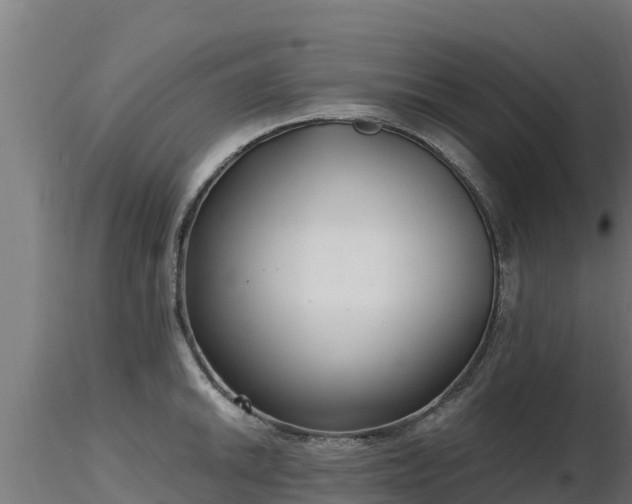 X0000116891046200912291259