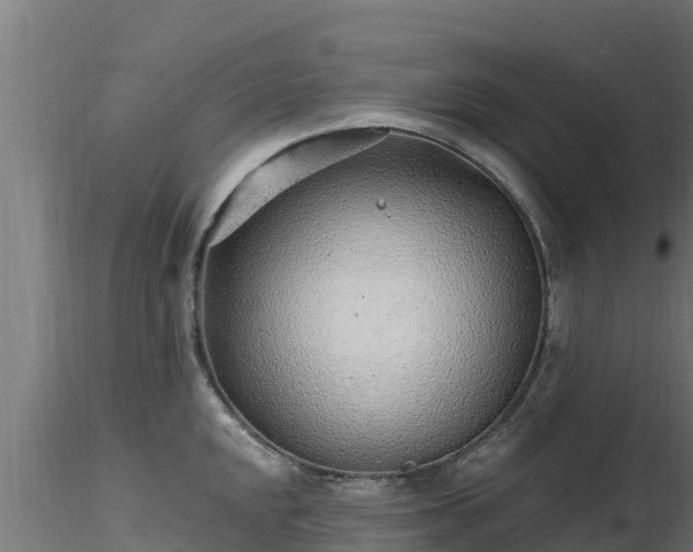 X0000116891048200912291259