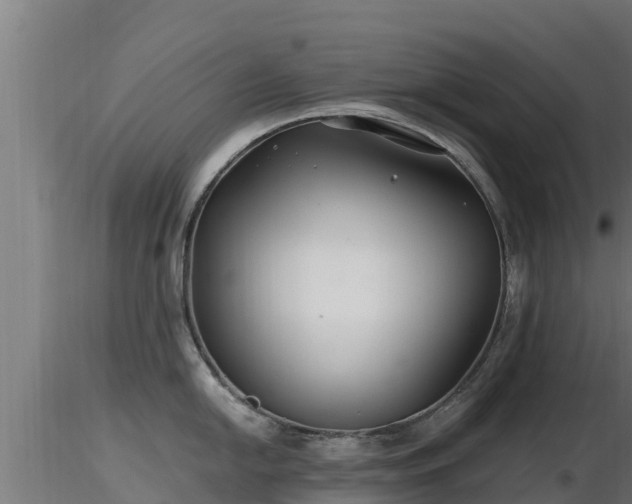 X0000116891054200912291259