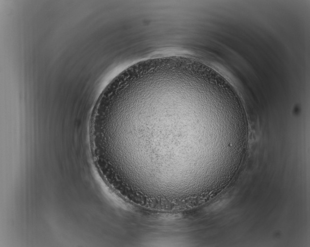 X0000116891055200912291259