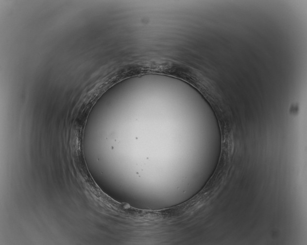 X0000116891058200912291258