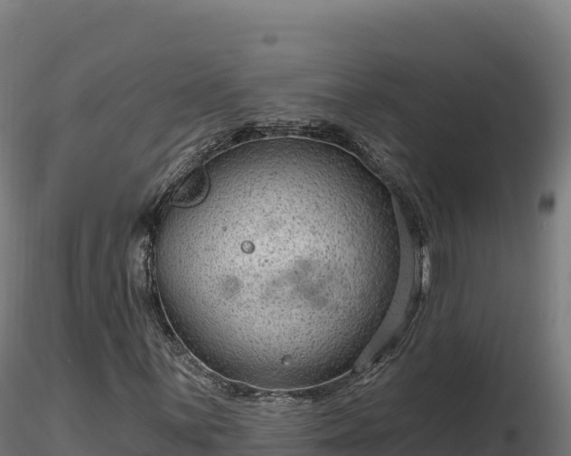 X0000116891059200912291258