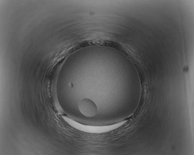 X0000116891060200912291258