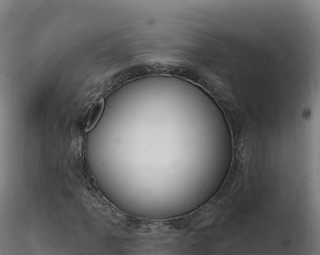 X0000116891061200912291258