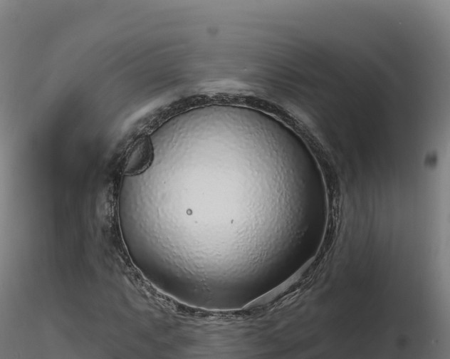 X0000116891063200912291258
