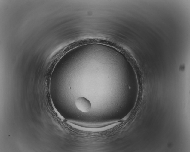 X0000116891064200912291258