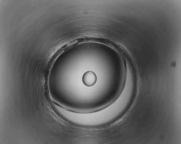 X0000116891065200912291258
