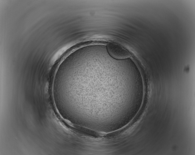 X0000116891066200912291258