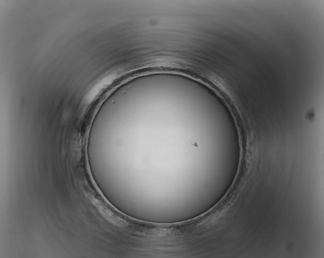 X0000116891067200912291258