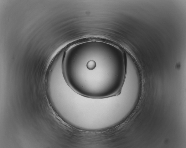 X0000116891068200912291258