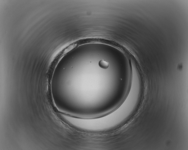 X0000116891069200912291258