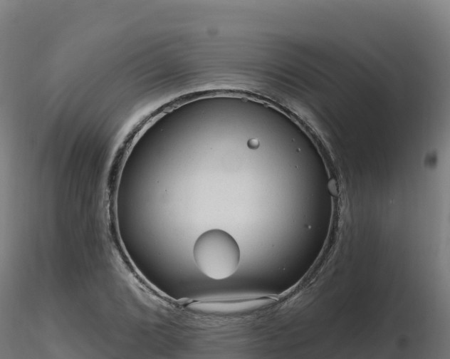 X0000116891072200912291258