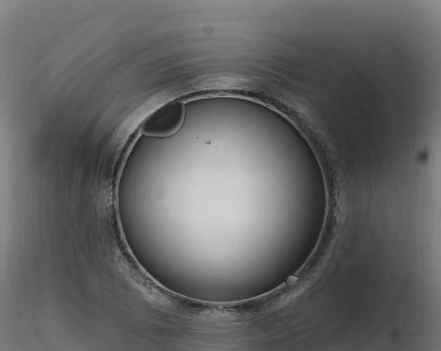 X0000116891073200912291258