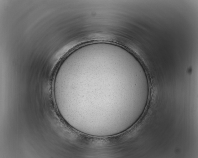 X0000116891074200912291258