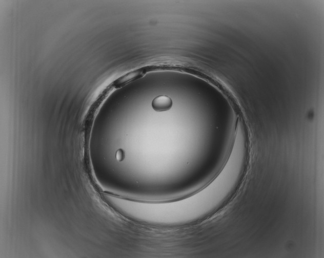 X0000116891075200912291258