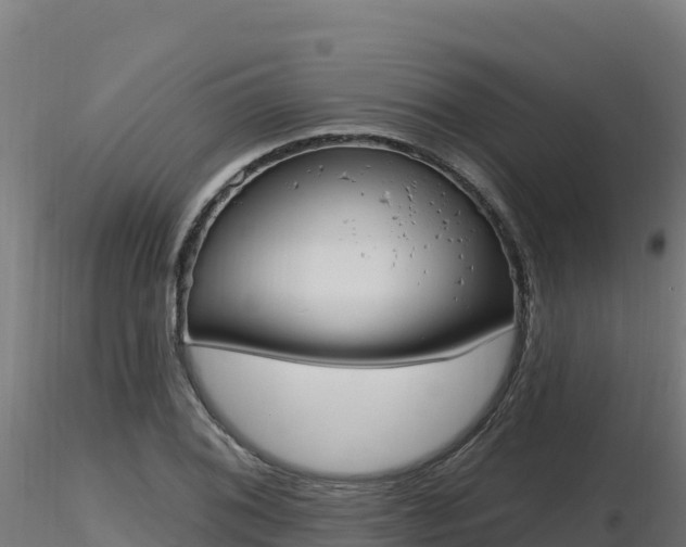 X0000116891076200912291258