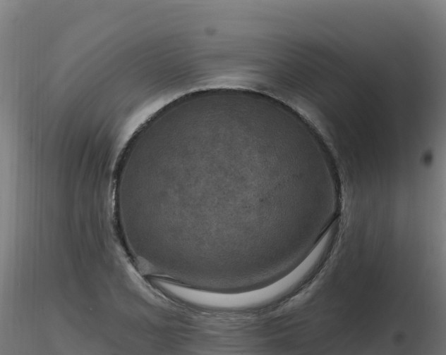 X0000116891077200912291258