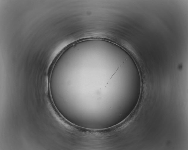 X0000116891079200912291258