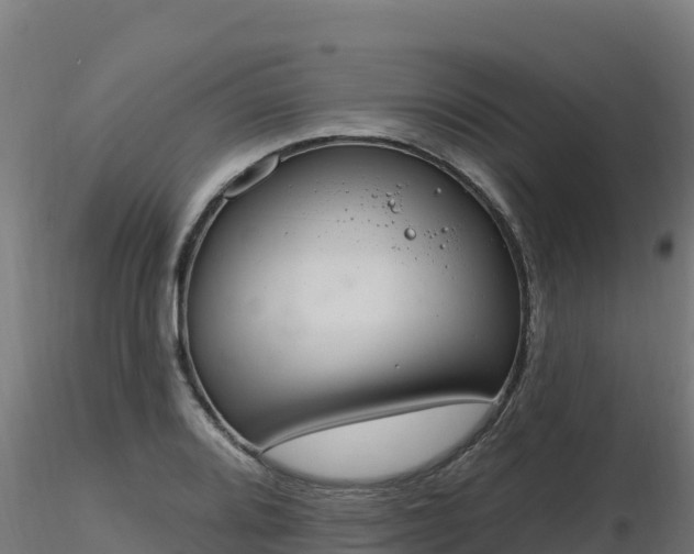 X0000116891080200912291258